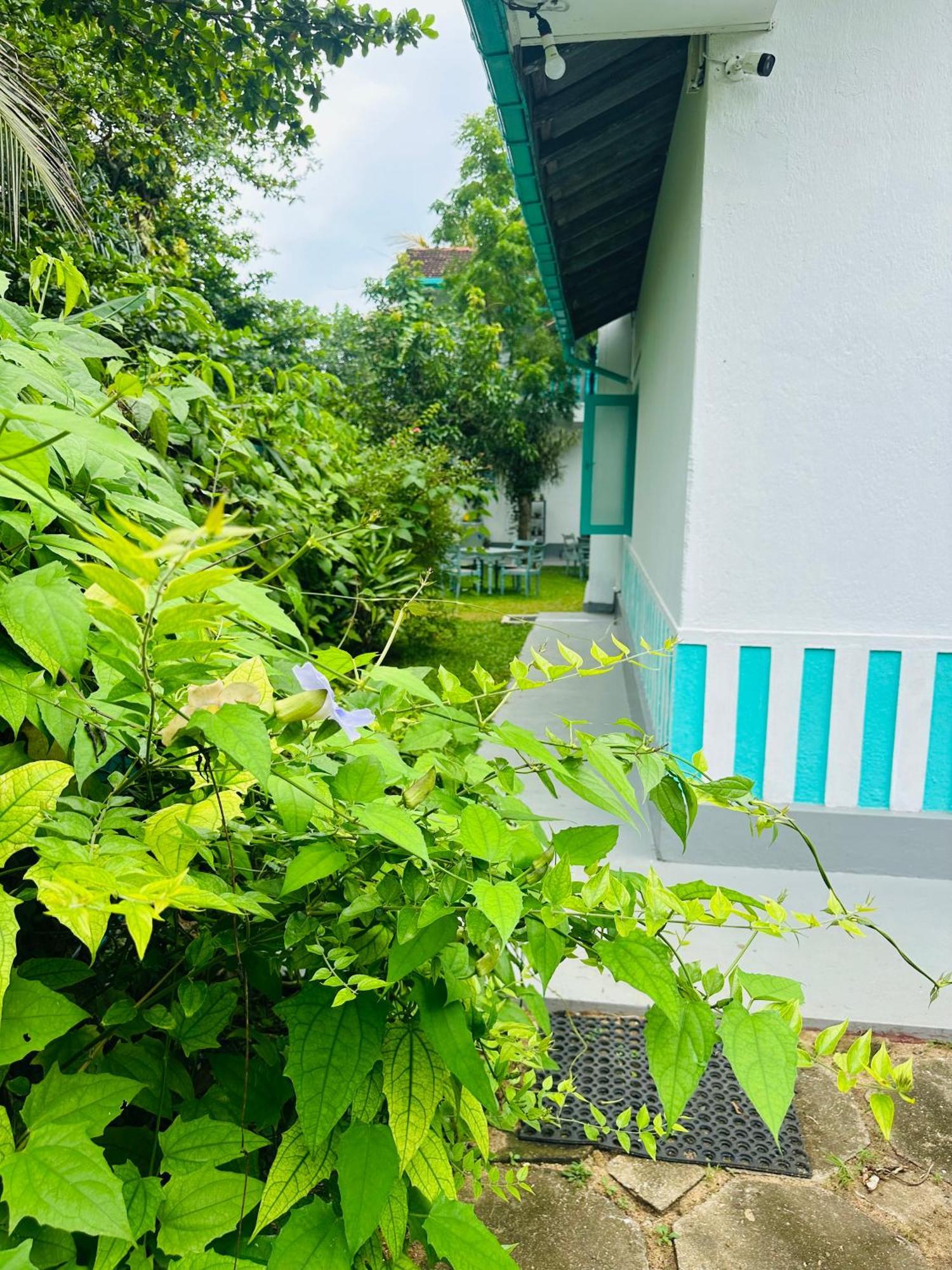 Villa 47 Hikkaduwa Eksteriør billede